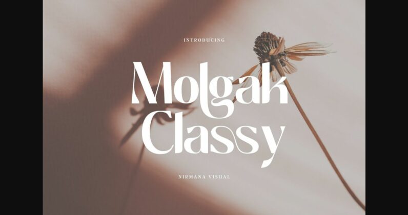 Molgak Classy Font Poster 1