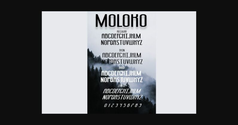 Moloko Font Poster 6