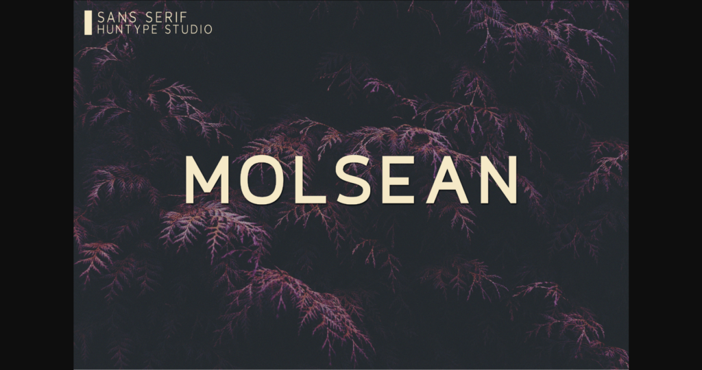 Molsean Font Poster 3