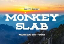 Monkey Slab Fonts