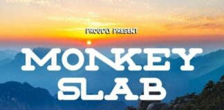 Monkey Slab Fonts