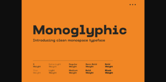 Monoglyphic Font Poster 1