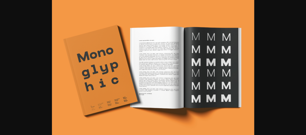 Monoglyphic Font Poster 10