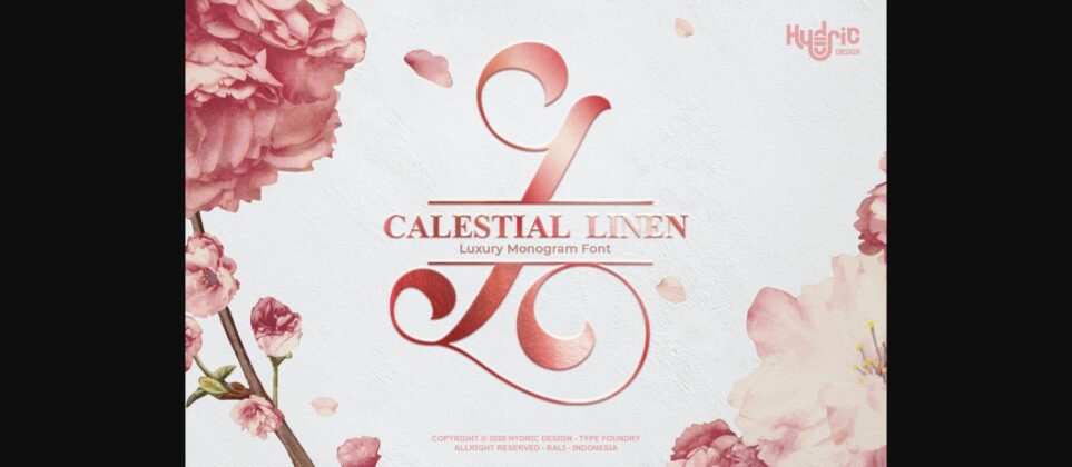 Monogram Calestial Linen Font Poster 3