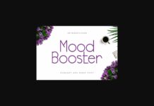 Mood Booster Font Poster 1