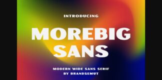 Morebig Sans Font Poster 1