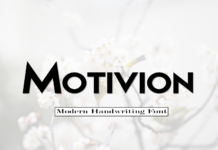 Motivion Font Poster 1