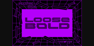 MultiType Lines Loose Bold Font Poster 1