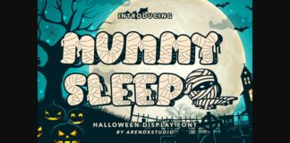 Mummy Sleep Font Poster 1