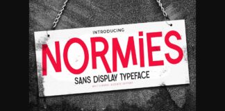 Normies Font Poster 1