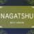 Nagatshu Bold Font