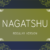 Nagatshu Regular Font