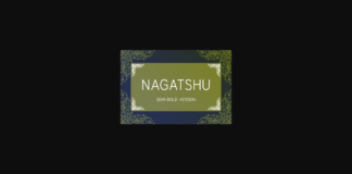 Nagatshu Semi-Bold Font Poster 1