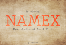 Namex Fonts