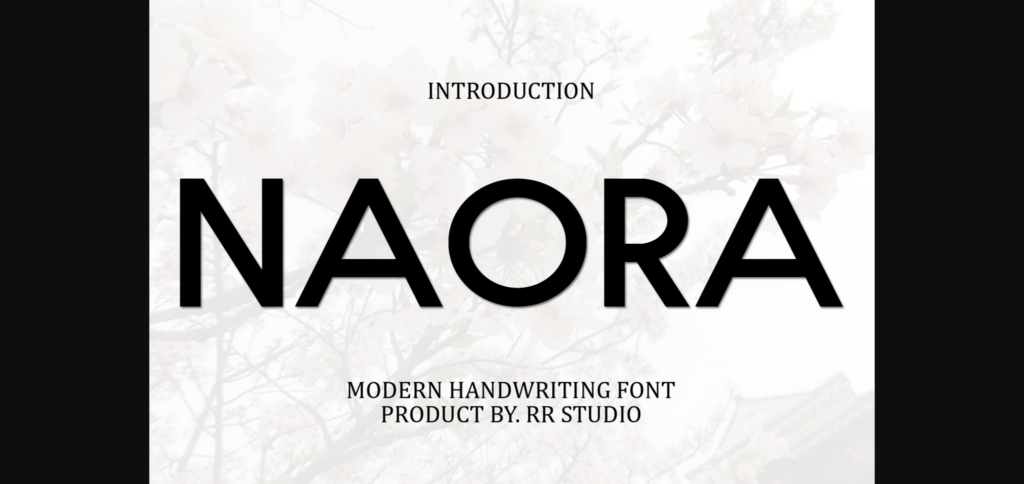 Naora Font Poster 3