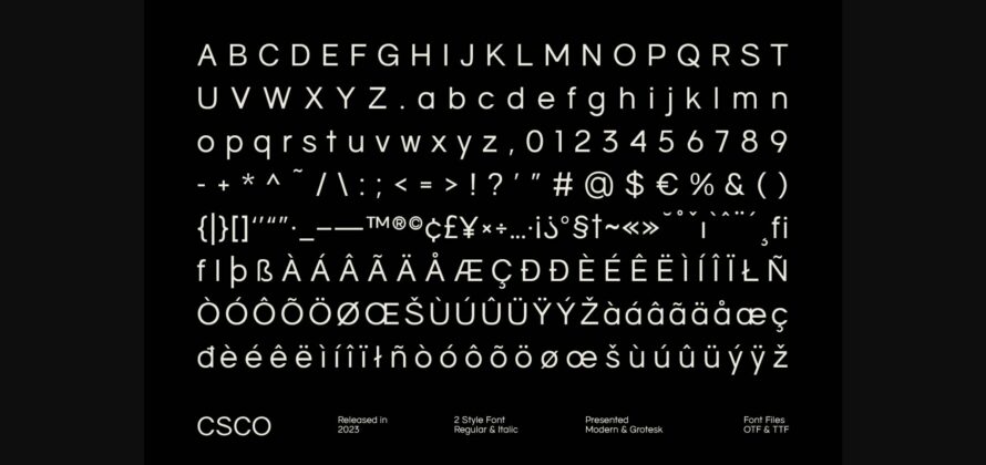 Napzer Font Poster 10