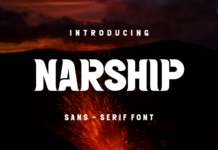 Narship Poster 1