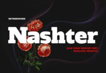 Nashter Fonts