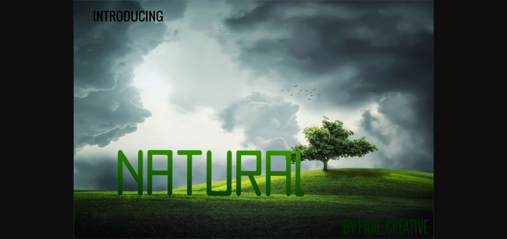 Natural Font Poster 3