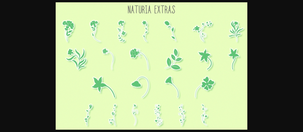 Naturia Font Poster 6