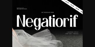 Negatiorif Font Poster 1