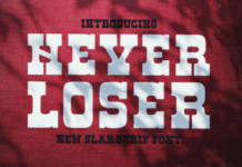 Never Loser Fonts