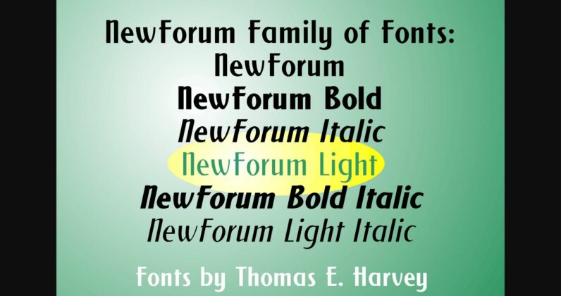 New Forum Light Font Poster 4