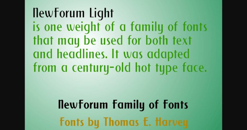 New Forum Light Font Poster 5