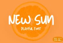 New Sun Font