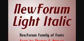 New Forum Light Italic Font Poster 1