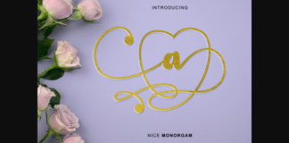 Nice Monogram Font Poster 1