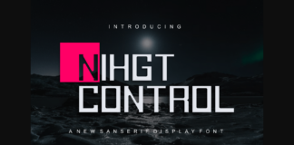 Night Control Poster 1