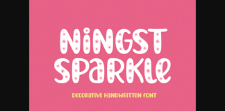 Ningst Sparkle Font Poster 1