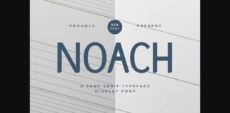 Noach Font Poster 1