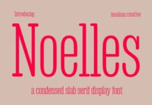 Noelles Fonts