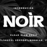 Noir Fonts