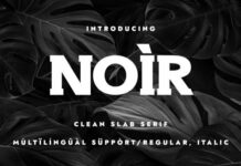 Noir Fonts