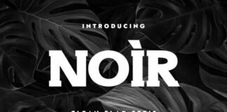 Noir Fonts