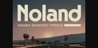 Noland Font Poster 1