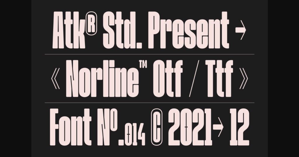 Norline Font Poster 4