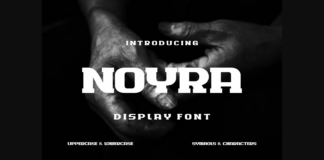 Noyra Font Poster 1