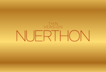 Nuerthon Thin Font