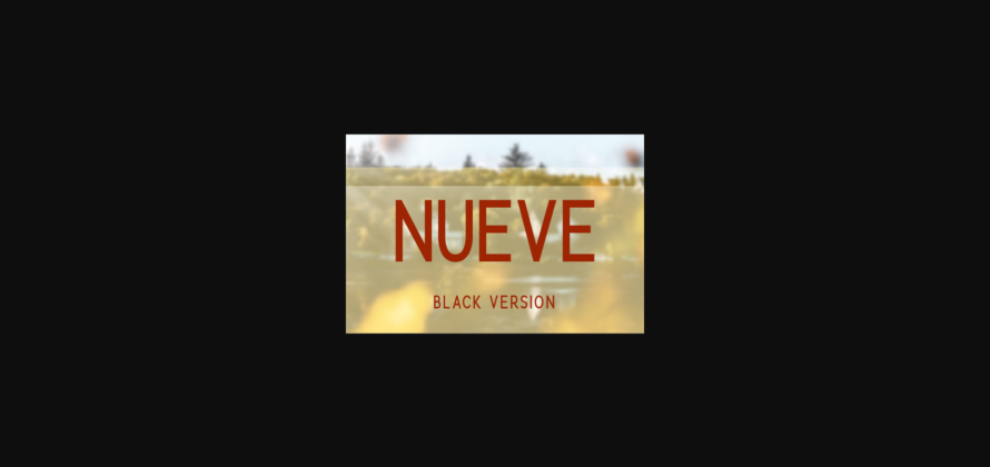 Nueve Black Font Poster 3