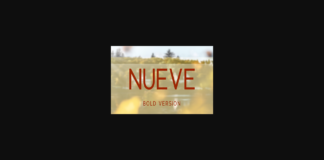 Nueve Bold Font Poster 1