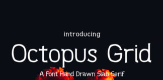 Octopus Grid Font