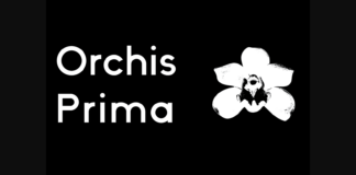 Orchis Prima Font Poster 1