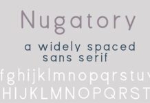 PN Nugatory Font Poster 1