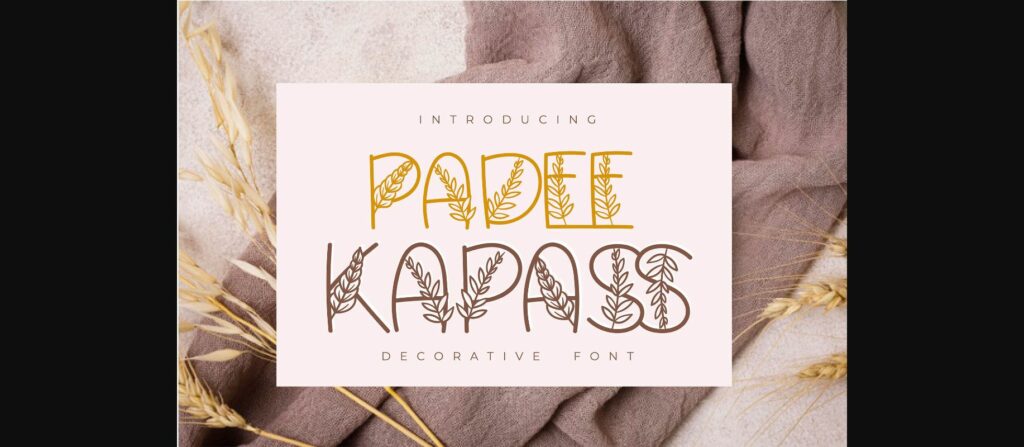 Padee Kapass Font Poster 1