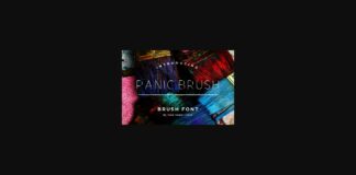 Panic Brush Font Poster 1