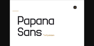 Papana Sans Font Poster 1